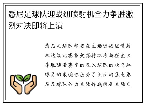 悉尼足球队迎战纽喷射机全力争胜激烈对决即将上演